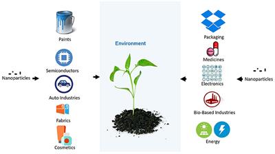 Impact of Metal and Metal Oxide Nanoparticles on Plant: A Critical Review